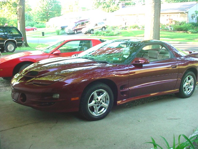 this is actually the 3rd bird ive owned, ...(00 ta )