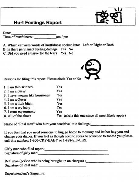 Hurt Feelings Report