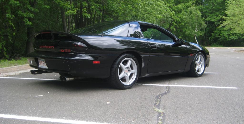 Lowered and Smoked Taillight Covers