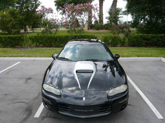 16394268235 278984109 IM1 MAIN 565x421 A 562x421