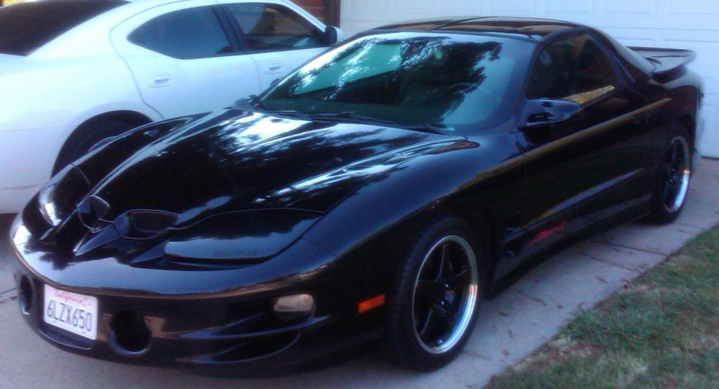 IMG00026 20100708 1633