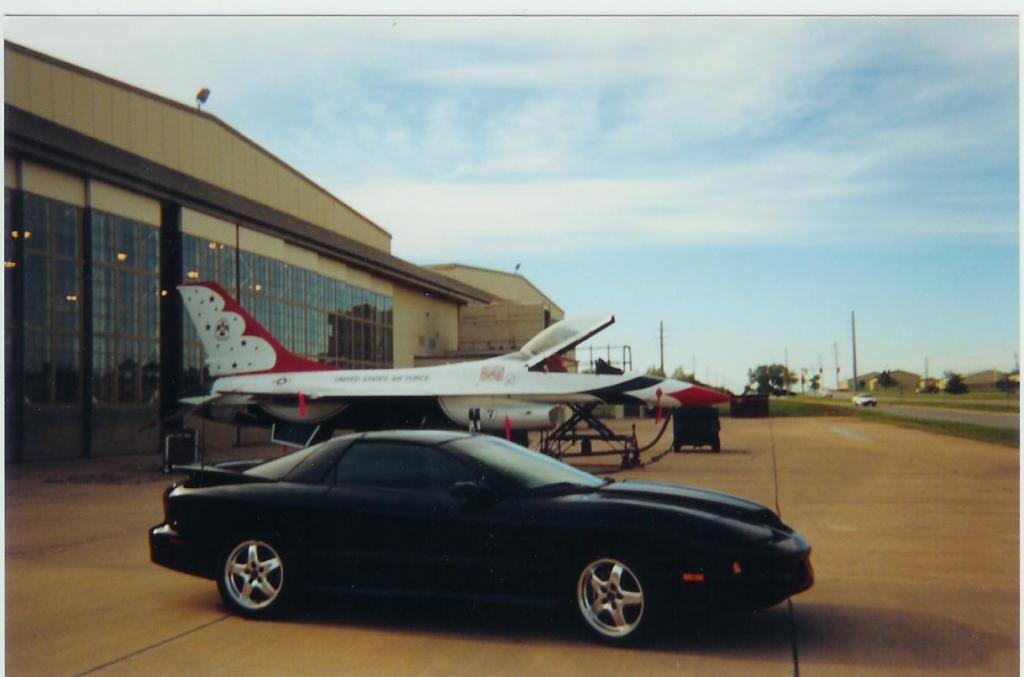 TA & T Bird