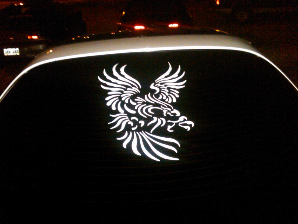 IMG00105 20110203 0619