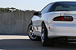 Camaro pic's 099