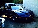 WS6 a.k.a Vette killer's Avatar