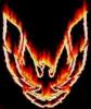 McCool318's Avatar