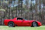 Crimson Vette's Avatar