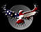 Patriot Performance's Avatar