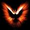 Hawk#431's Avatar