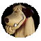 Dabom75's Avatar